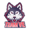 Team VE