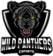 Wild Panthers eSports (LoL) Wild Panthers eSports (LoL)