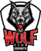 Wolf Club Esports (LoL) Wolf Club Esports (LoL)