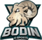 Bodin Esports (LoL) Bodin Esports (LoL)