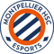 MHSC Esport (LoL) MHSC Esport (LoL)