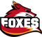 Foxes (Overwatch) Foxes (Overwatch)
