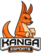 Kanga Esports (Overwatch) Kanga Esports (Overwatch)