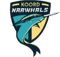 Koord Narwhals (Overwatch) Koord Narwhals (Overwatch)
