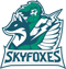 Meta Skyfoxes (Overwatch)