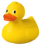 Patitos