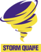 StormQuake (Overwatch) StormQuake (Overwatch)