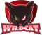 WildCat (Overwatch) WildCat (Overwatch)