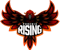 Phoenix Rising (Overwatch) Phoenix Rising (Overwatch)