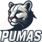 pumas (Overwatch) pumas (Overwatch)
