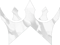 ZoKorp Esports (Overwatch)