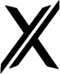 Team-X