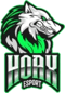 HOAX esports (Rainbow Six)