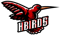 Hummingbirds