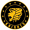 Knights (Rainbow Six)