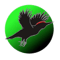 Palokärki eSports (Rainbow Six) Palokärki eSports (Rainbow Six)