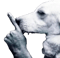 HugoBoss (Rainbow Six) HugoBoss (Rainbow Six)