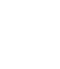 Team VIP