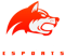 Denial Esports