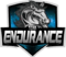 Endurance (Rocket League) Endurance (Rocket League)