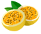 Maracuja (Rocket League) Maracuja (Rocket League)