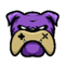 James Madison University (Rocket League) James Madison University (Rocket League)