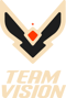 Team Vision (Rocket League)