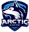 Arctic Gaming Mexico (VALORANT) Arctic Gaming Mexico (VALORANT)