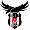 Beşiktaş Esports