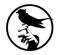 Black Magic (VALORANT) Black Magic (VALORANT)