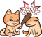 Bonkers (VALORANT) Bonkers (VALORANT)