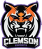 Clemson Esports (VALORANT) Clemson Esports (VALORANT)