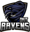 DKIT (VALORANT) DKIT (VALORANT)