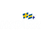 HSDIRR (VALORANT) HSDIRR (VALORANT)
