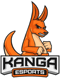 Kanga Esports (VALORANT) Kanga Esports (VALORANT)