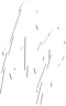 MAD Army (VALORANT) MAD Army (VALORANT)