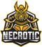 Necrotic Esports (VALORANT) Necrotic Esports (VALORANT)