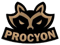 Procyon Team (VALORANT) Procyon Team (VALORANT)