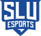Saint Louis University