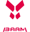 Team Big BAAM (VALORANT) Team Big BAAM (VALORANT)