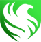 Team Falcons (VALORANT)