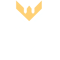 VCTRY Esports