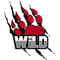 WiLD MultiGaming (VALORANT)