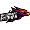 Hyderabad Hydras (VALORANT) Hyderabad Hydras (VALORANT)