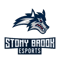 Stony Brook Esports (VALORANT) Stony Brook Esports (VALORANT)