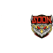 SYS ReigN Esports (VALORANT) SYS ReigN Esports (VALORANT)