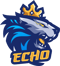 ECHO Esports (Wild Rift) ECHO Esports (Wild Rift)