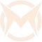 TEAM MAX