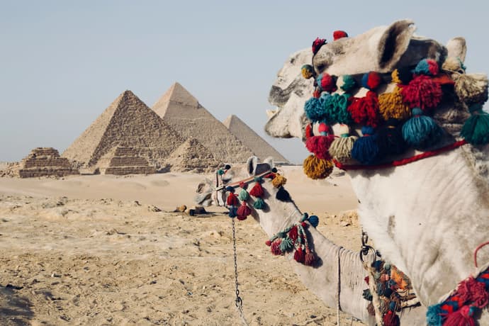 Among the Pharaohs: The best games about Egypt Among the Pharaohs: The best games about Egypt