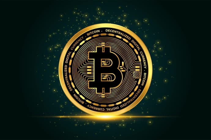 ¿Cómo proteger tus bitcoins contra el robo? ¿Cómo proteger tus bitcoins contra el robo?